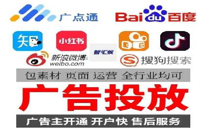 SEM服务公司成功案例解读