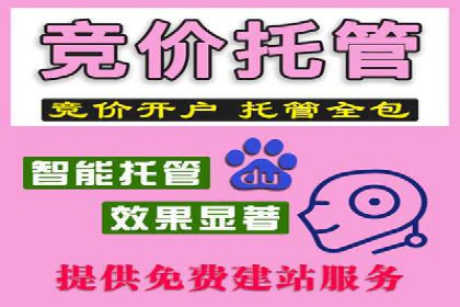 成功案例分享：sem代运营机构如何助力企业拓展市场